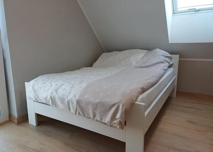 Przygoda Жуково