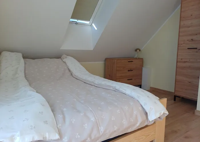 Przygoda * Жуково