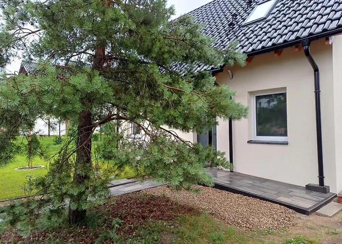 Przygoda Вилла Жуково