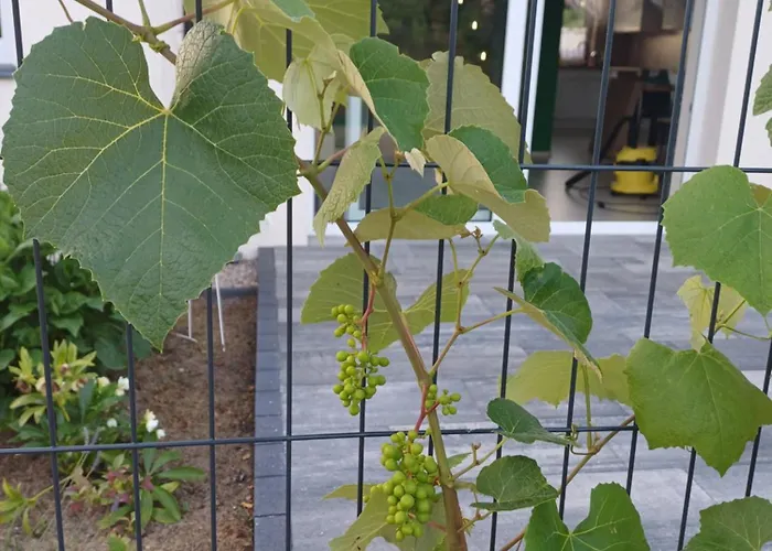 Вилла Przygoda *